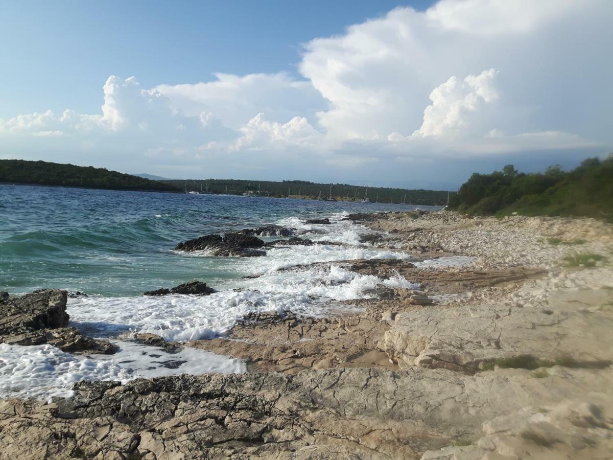 Ceratonia * Lovište