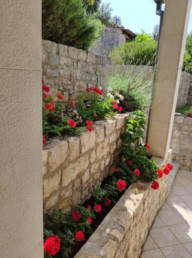 Apartmán Ceratonia Loviste